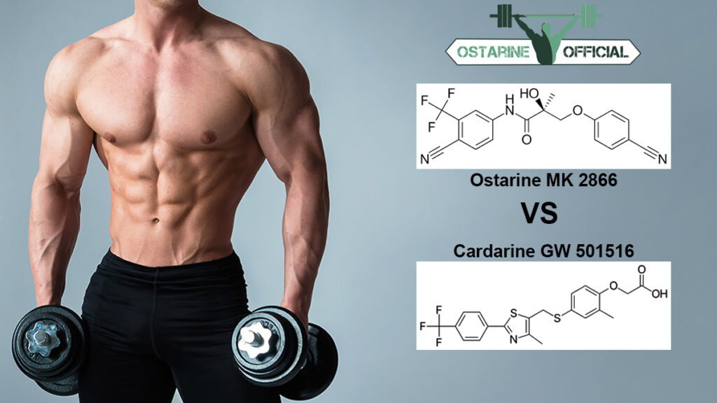 Ostarine MK-2866 vs Cardarine GW501516 Review