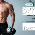 Ostarine MK-2866 vs Cardarine GW501516 Review
